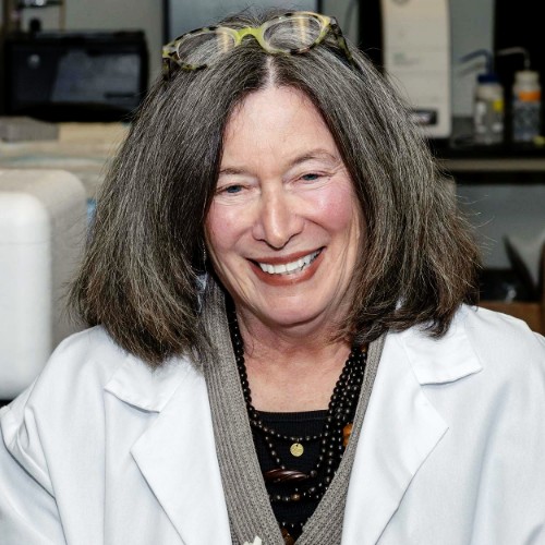 Dr. Barbara Boyan